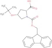 Fmoc-D-Hyp(tBu)-OH