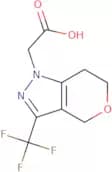 2-[3-(Trifluoromethyl)-1H,4H,6H,7H-pyrano[4,3-c]pyrazol-1-yl]acetic acid