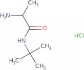 2-Amino-N-(tert-butyl)propanamide hydrochloride