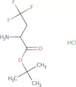tert-Butyl 2-amino-4,4,4-trifluorobutanoate hydrochloride