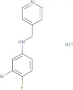 3-Bromo-4-fluoro-N-(pyridin-4-ylmethyl)aniline hydrochloride