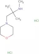 Methyl[2-methyl-1-(morpholin-4-yl)propan-2-yl]amine dihydrochloride