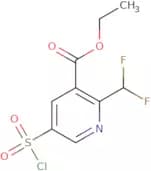 Ethyl 5-(chlorosulfonyl)-2-(difluoromethyl)pyridine-3-carboxylate