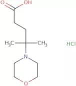 4-Methyl-4-(morpholin-4-yl)pentanoic acid hydrochloride