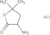 3-Amino-5,5-dimethyloxolan-2-one hydrochloride