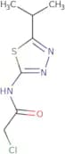 2-Chloro-N-(5-isopropyl-[1,3,4]thiadiazol-2-yl)-acetamide