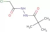 N'-(2-Chloroacetyl)-2,2-dimethylpropanehydrazide