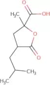 2-Methyl-4-(2-methylpropyl)-5-oxooxolane-2-carboxylic acid