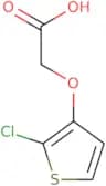 2-[(2-Chlorothiophen-3-yl)oxy]acetic acid