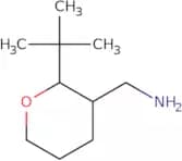 (2-tert-Butyloxan-3-yl)methanamine