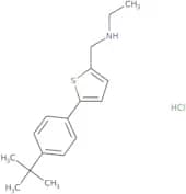 {[5-(4-tert-Butylphenyl)thiophen-2-yl]methyl}(ethyl)amine hydrochloride