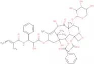 7-Xylosyl-10-deacetyltaxol B