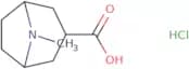8-Methyl-8-azabicyclo[3.2.1]octane-3-carboxylic acid hydrochloride
