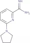 6-(Pyrrolidin-1-yl)pyridine-2-carboximidamide