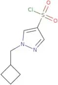 1-(Cyclobutylmethyl)-1H-pyrazole-4-sulfonyl chloride