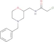 N-[(4-Benzylmorpholin-2-yl)methyl]-2-chloroacetamide