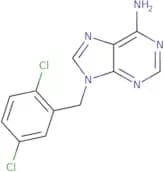 9-(2,5-Dichlorobenzyl)-9H-purin-6-amine