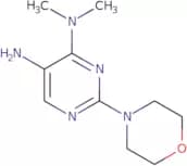 N4,N4-Dimethyl-2-(morpholin-4-yl)pyrimidine-4,5-diamine