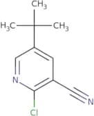 5-tert-Butyl-2-chloropyridine-3-carbonitrile