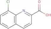 8-Chloroquinoline-2-carboxylic Acid