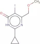 2-Cyclopropyl-5-iodo-6-(methoxymethyl)-3,4-dihydropyrimidin-4-one