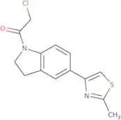 2-Chloro-1-[5-(2-methyl-1,3-thiazol-4-yl)-2,3-dihydro-1H-indol-1-yl]ethan-1-one