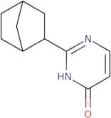 2-{Bicyclo[2.2.1]heptan-2-yl}-3,4-dihydropyrimidin-4-one