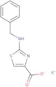 Potassium 2-(benzylamino)-1,3-thiazole-4-carboxylate