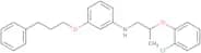 N-[2-(2-Chlorophenoxy)propyl]-3-(3-phenylpropoxy)aniline