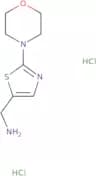 [2-(Morpholin-4-yl)-1,3-thiazol-5-yl]methanamine dihydrochloride