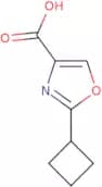 2-Cyclobutyl-1,3-oxazole-4-carboxylic acid