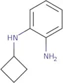 N1-Cyclobutylbenzene-1,2-diamine