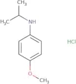 4-Methoxy-N-(propan-2-yl)aniline hydrochloride