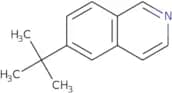 6-tert-Butylisoquinoline