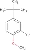 2-Bromo-4-tert-butyl-1-methoxybenzene