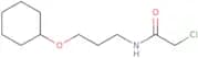 2-Chloro-N-[3-(cyclohexyloxy)propyl]acetamide