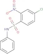 4-chloro-2-nitro-N-phenylbenzene-1-sulfonamide