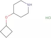 4-Cyclobutoxypiperidine Hydrochloride