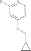 2-Chloro-4-(cyclopropylmethoxy)pyridine