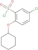 5-Chloro-2-(cyclohexyloxy)benzene-1-sulfonyl chloride