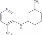 4-Methyl-N-(3-methylcyclohexyl)pyridin-3-amine