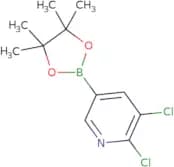 2,3-dichloro-5-(4,4,5,5-tetramethyl-1,3,2-dioxaborolan-2-yl)pyridine