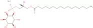 1-Palmitoyl-2-hydroxy-sn-glycero-3-phosphoinositol ammonium salt