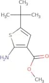methyl 2-amino-5-tert-butylthiophene-3-carboxylate