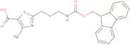 2-[3-({[(9H-Fluoren-9-yl)methoxy]carbonyl}amino)propyl]-4-methyl-1,3-thiazole-5-carboxylic acid