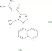 Zoniporide dihydrochloride