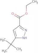 Ethyl 3-tert-butyl-1H-pyrazole-5-carboxylate