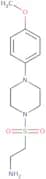 2-{[4-(4-Methoxyphenyl)piperazin-1-yl]sulfonyl}ethan-1-amine