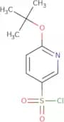 6-(tert-Butoxy)pyridine-3-sulfonyl chloride