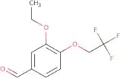 3-Ethoxy-4-(2,2,2-trifluoroethoxy)benzaldehyde